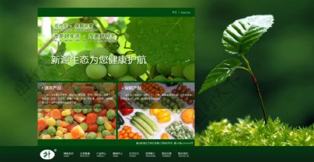 蔬菜制品网站设计
