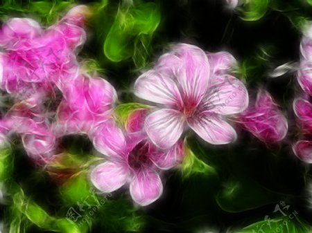 植物花卉炫光光影效果无框画装饰画