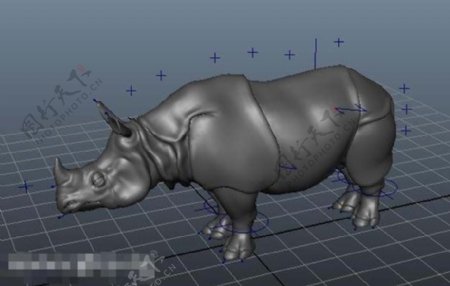 犀牛模型