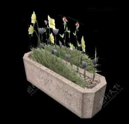 3D效果图植物素材