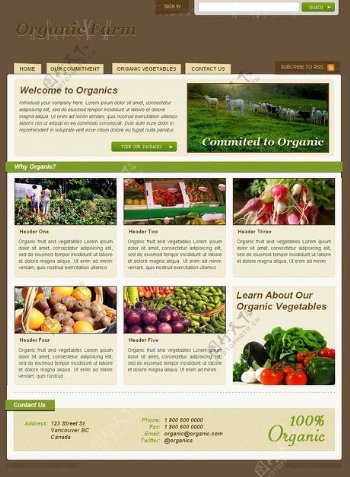 蔬菜网站界面设计HTMLCSS模板