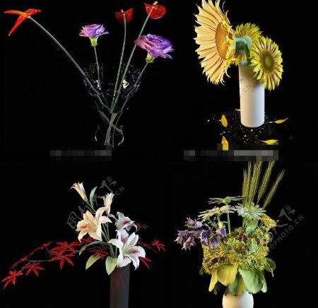 植物盆栽鲜花3d模型下载