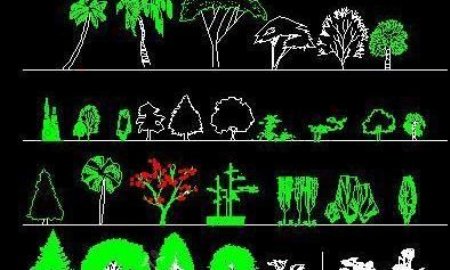 常用的园林立面植物图例