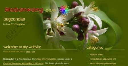 绿色花朵BLOG网页模板