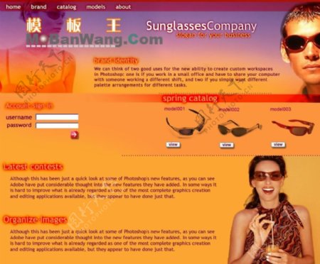 太阳镜销售公司版面欧美网页