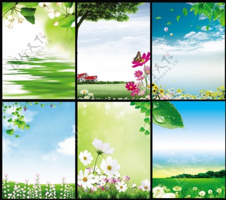 绿色展板春天背景图片