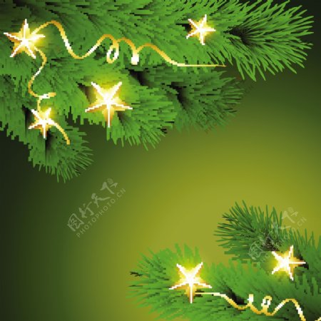 松树枝星星圣诞背景图片