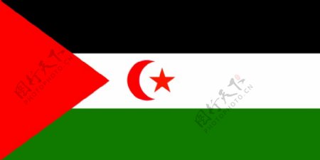 西撒哈拉的旗帜