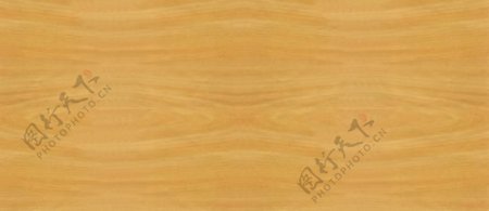 榉木02木纹木纹板材木质