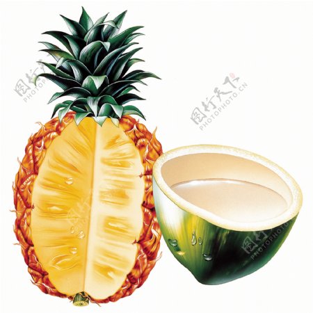 菠萝椰子食品插画
