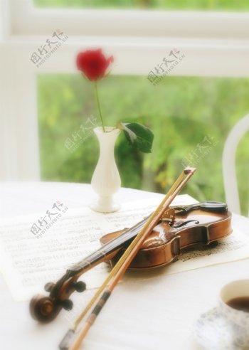 室内圆桌上的鲜花小提琴图片