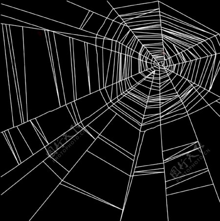 矢量线条蜘蛛网素材