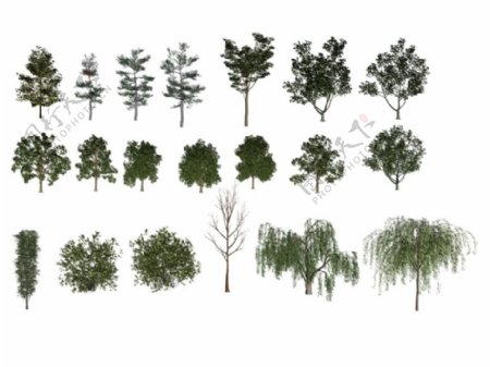 20款树模型图片