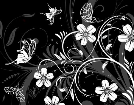 矢量黑白花卉蝴蝶背景