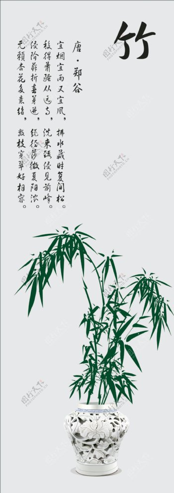 盆景竹图片