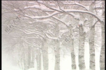 雪景视频素材
