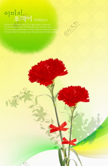 红色花朵背景素材PSD分层免费下载