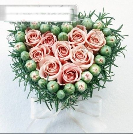 鲜花特写花的艺术浪漫的心心型花艺粉色玫瑰花丝带