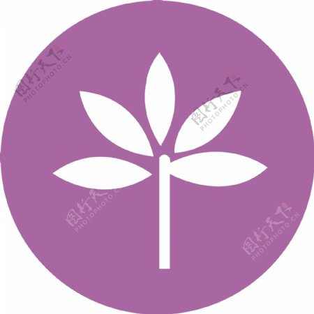 紫色背景花朵图标