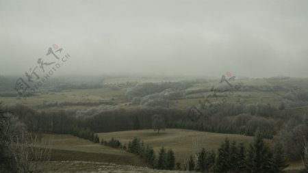 绿野覆盖雾凇图片