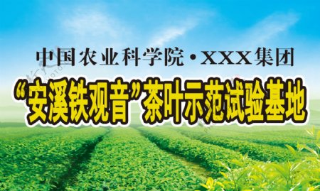茶叶示范田广告牌图片