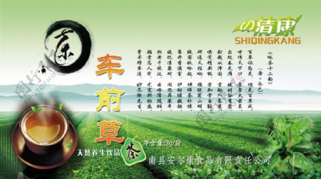 茶决明子天然养生饮品绿色图片