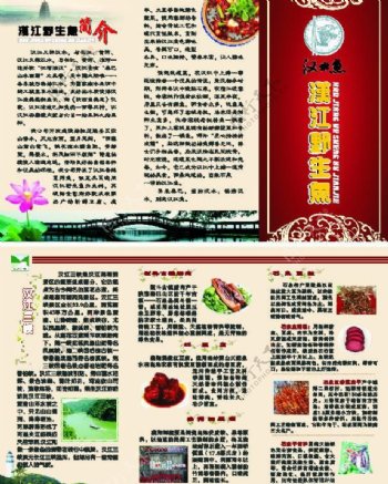 汉江野生鱼三折页图片