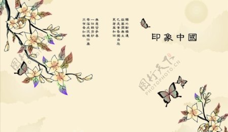 印象中国蝶恋花中国图片