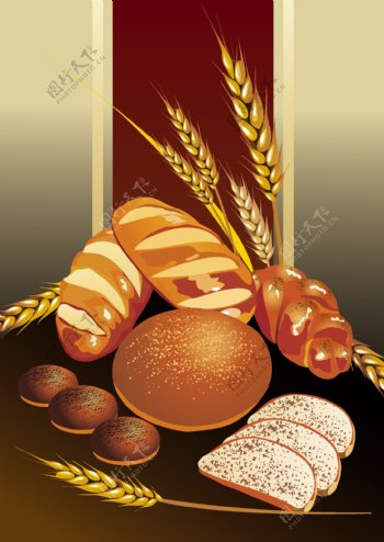 小麦面包矢量素材