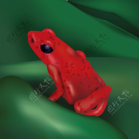 红色青蛙矢量图