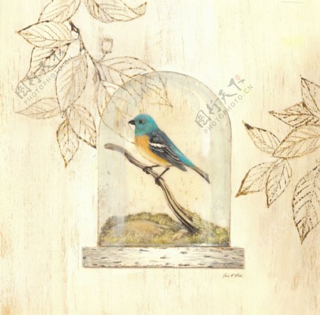 玻璃与鸟手绘装饰画