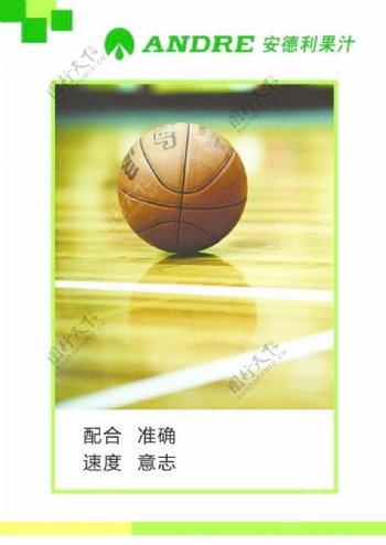 篮球图片
