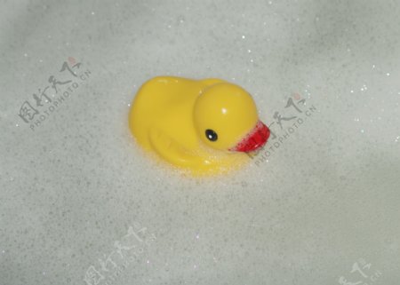 浴缸里的小鸭子图片