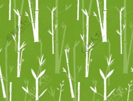 绿色的竹子可重复的模式拍