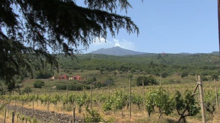 西西里岛的埃特纳火山和葡萄园4股票的录像视频免费下载