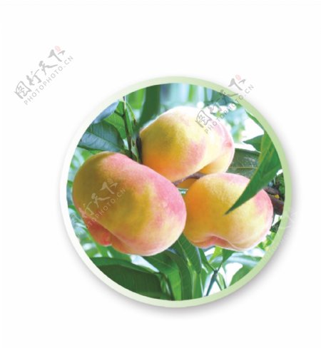水果蟠桃子礼盒图片