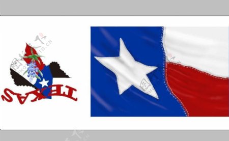 德克萨斯州国旗图片