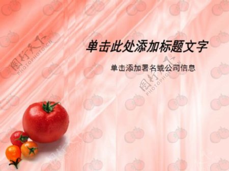 水果蔬菜类西红柿