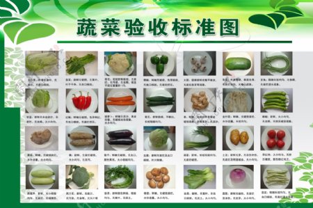 蔬菜验收标准展板图片