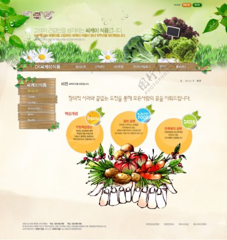 天然蔬菜网页psd模板