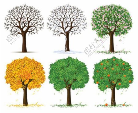 不同季节的树木变化矢量图
