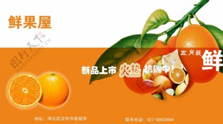鲜果屋橙子新品上市图片