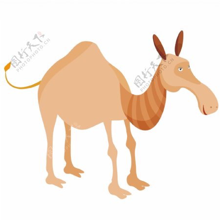 印花矢量图童装卡通动物动物骆驼免费素材