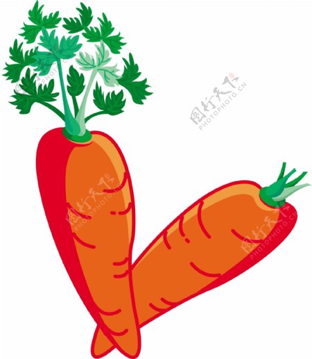 紅蘿蔔01图片