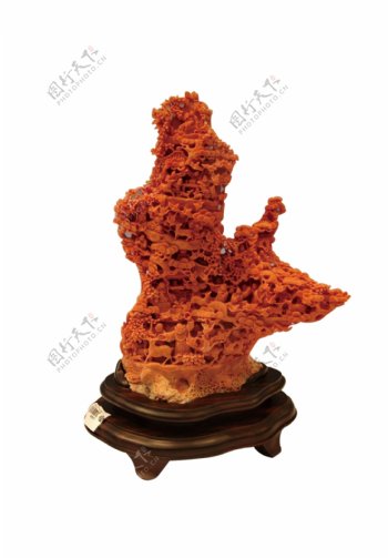 红珊瑚精细抠图奢侈品藏品