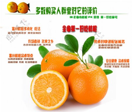 详情页描述橙子为什么要购买