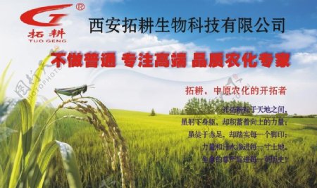 农业海报图片