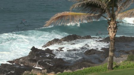 巨浪的夏威夷景观4股票的录像视频免费下载