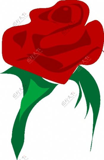 玫瑰红的花剪辑艺术