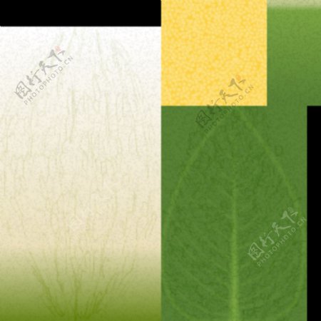 植物花草装饰素材室内装饰用品素材花草装饰素材51